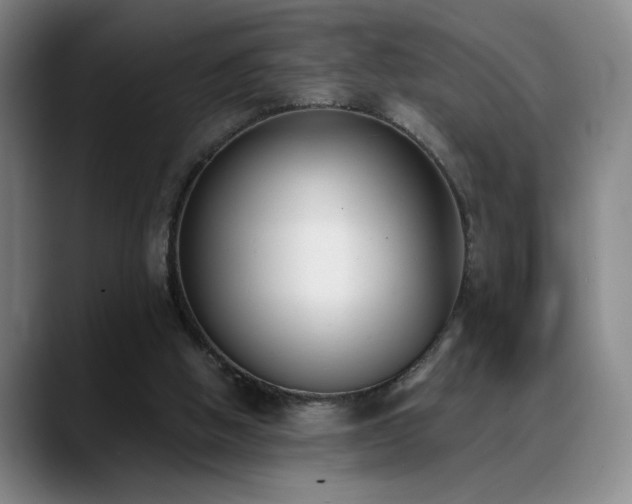 X0000089390058200706151229