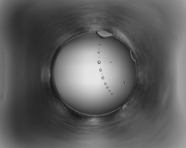 X0000089390059200706151229
