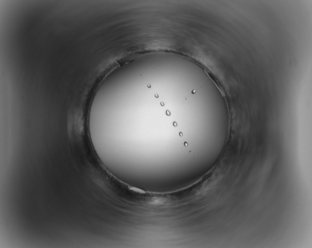 X0000089390060200706151229
