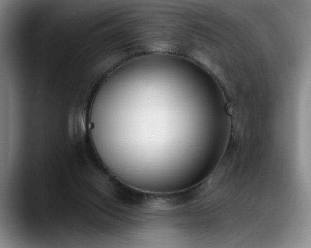 X0000089390062200706151229