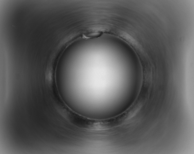 X0000089390064200706151229