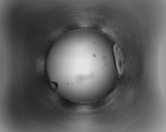 X0000089390066200706151229