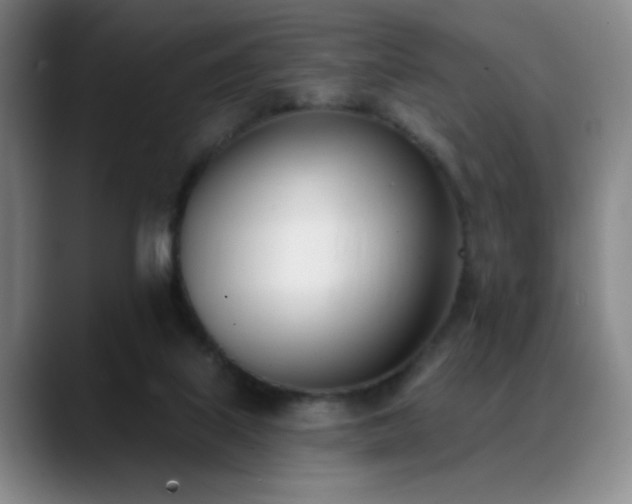 X0000089390067200706151229