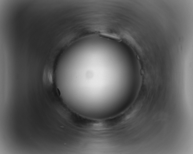 X0000089390068200706151229