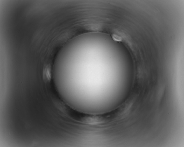 X0000089390069200706151229