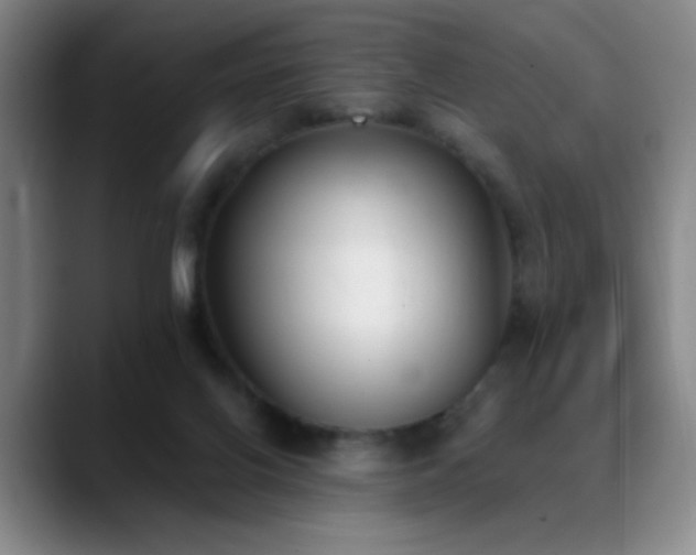 X0000089390070200706151230
