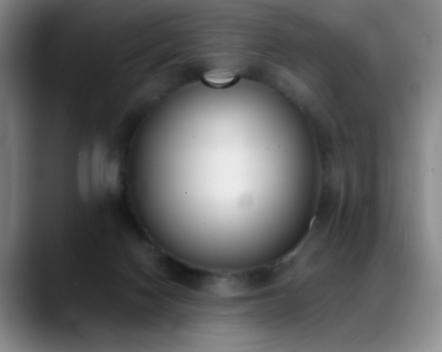 X0000089390074200706151230