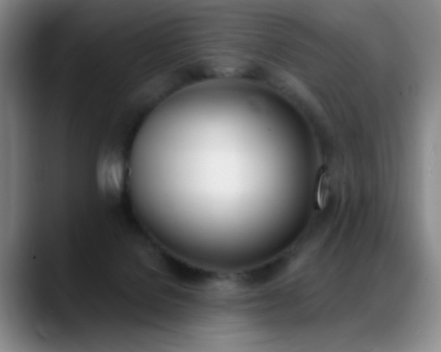 X0000089390076200706151230