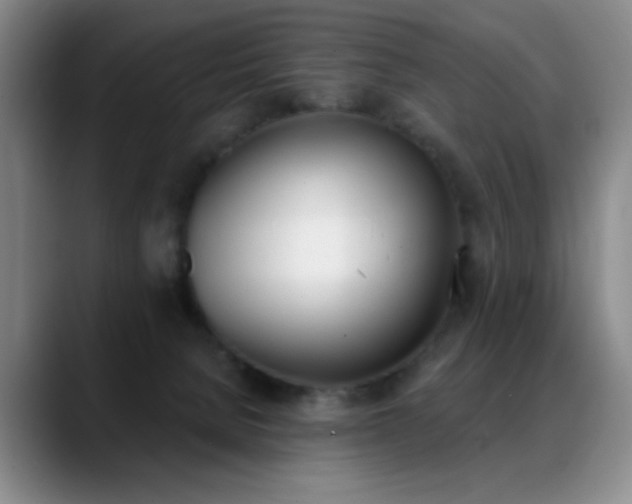 X0000089390080200706151230