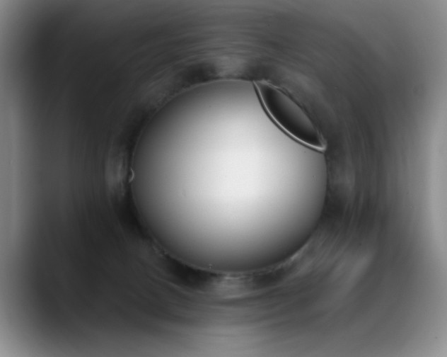 X0000089390082200706151230
