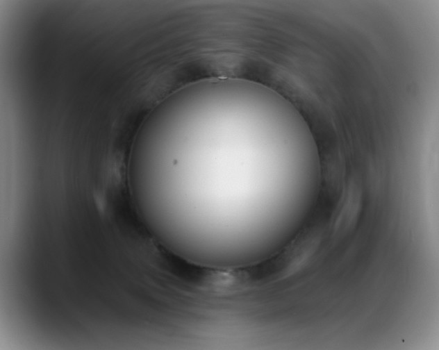 X0000089390083200706151230