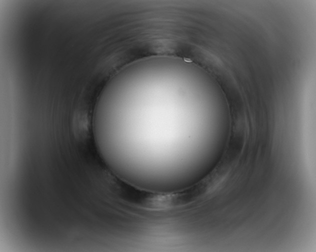 X0000089390084200706151230