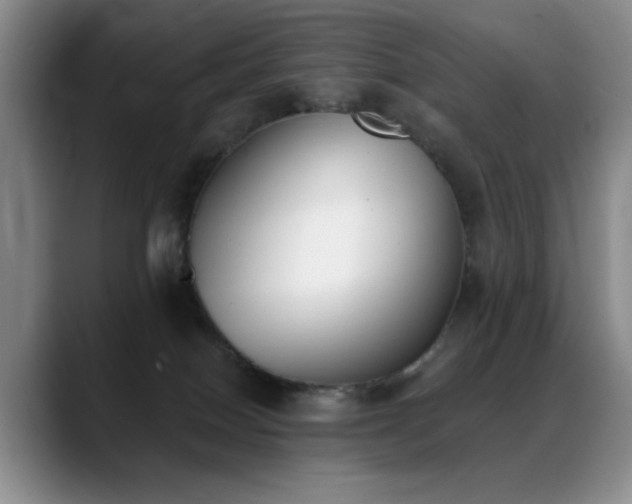 X0000089390086200706151230