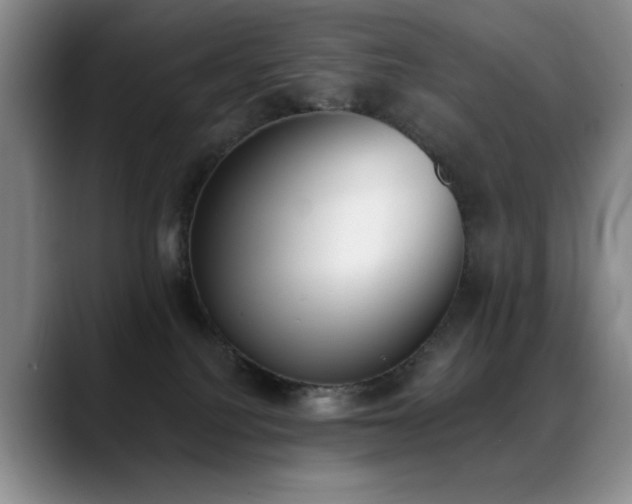 X0000089390088200706151230