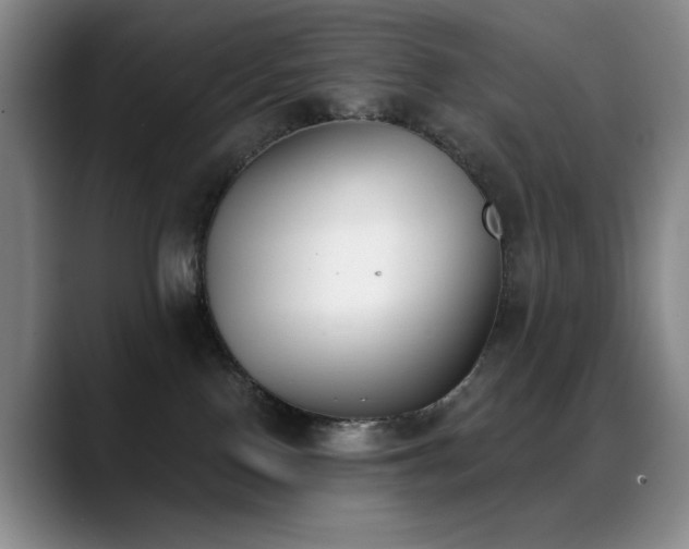 X0000089390090200706151230