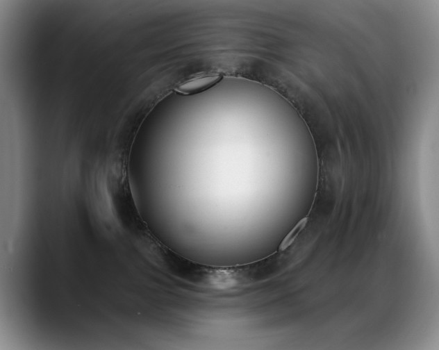 X0000089390091200706151230