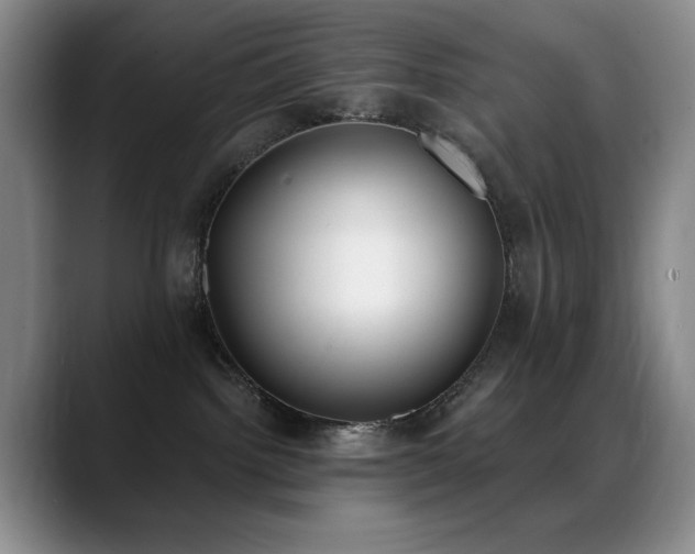 X0000089390092200706151230