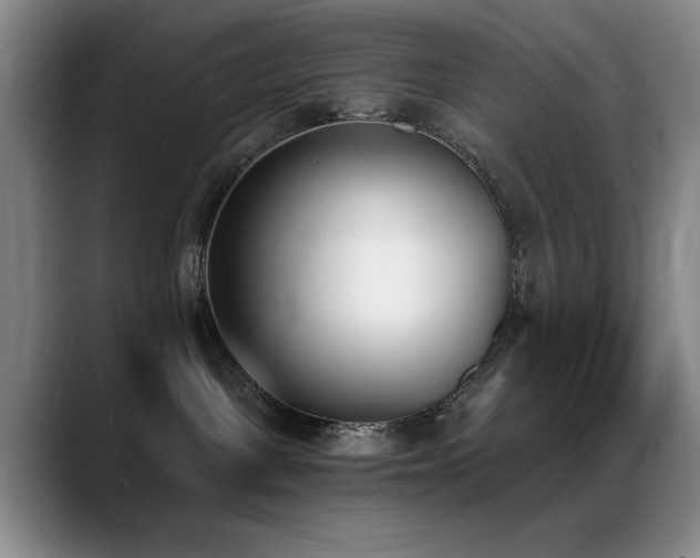 X0000089390093200706151230