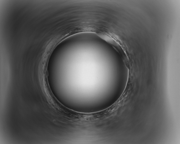 X0000089390097200706151229