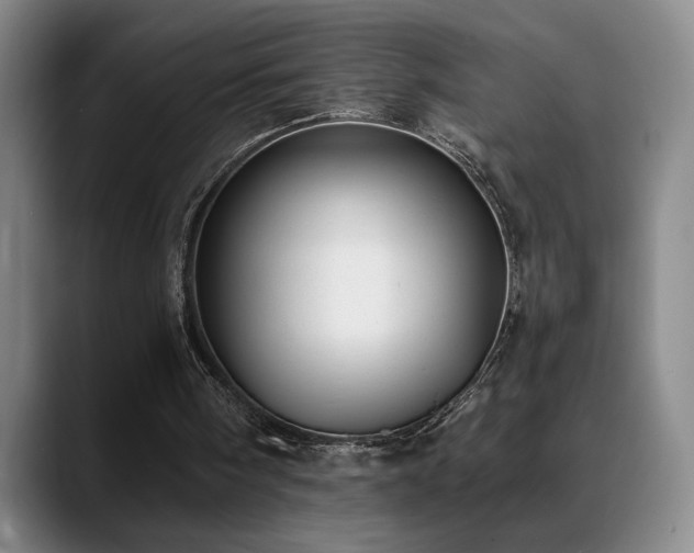 X0000089390098200706151229