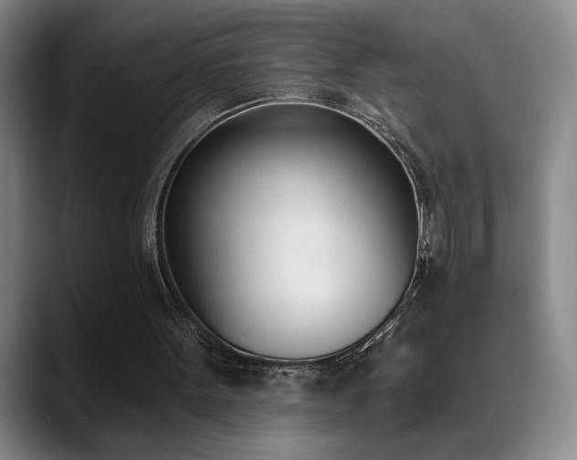 X0000089390099200706151229