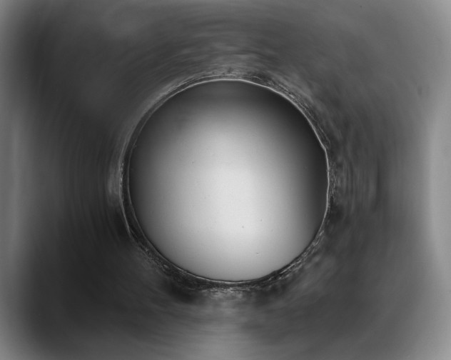 X0000089390100200706151229