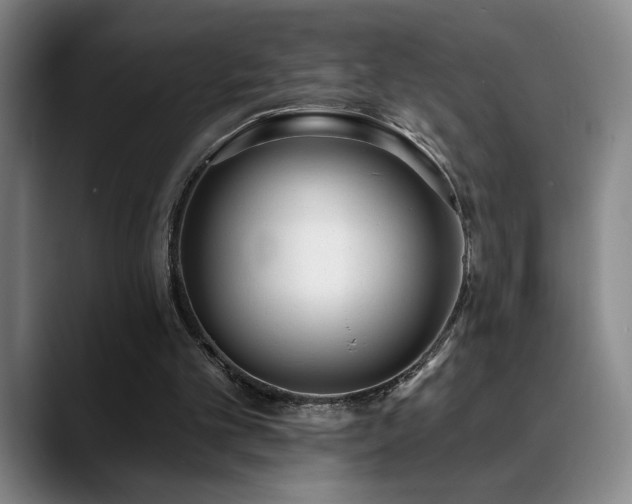 X0000089390101200706151229