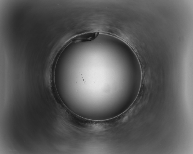 X0000089390103200706151229