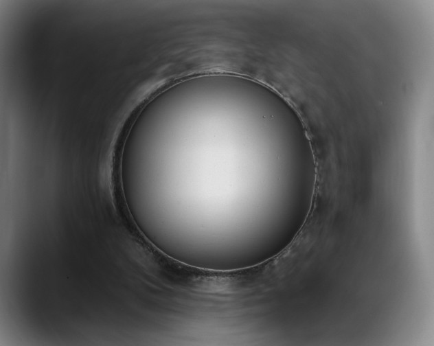 X0000089390104200706151229