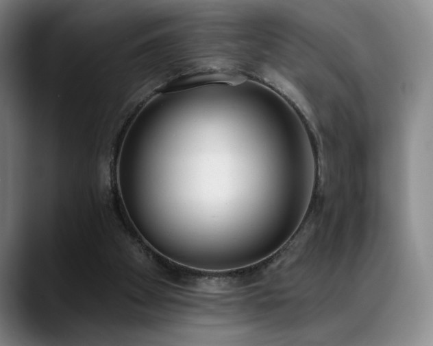 X0000089390105200706151229