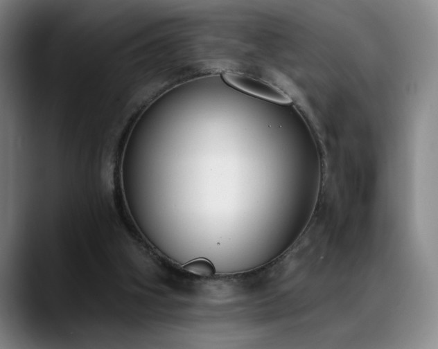 X0000089390106200706151229