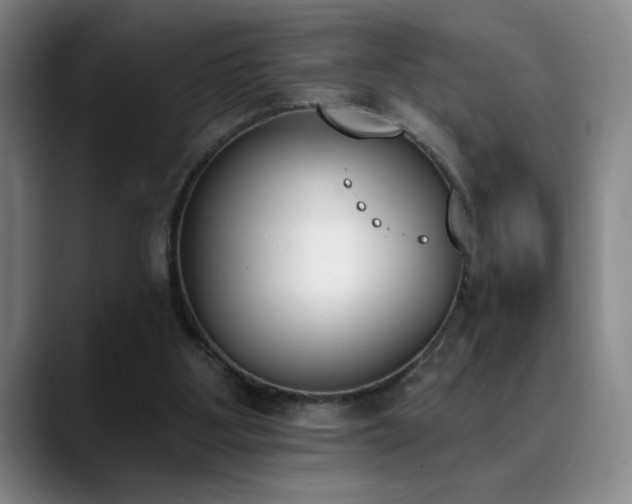 X0000089390107200706151229