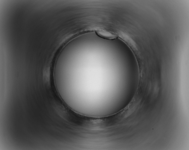 X0000089390108200706151229