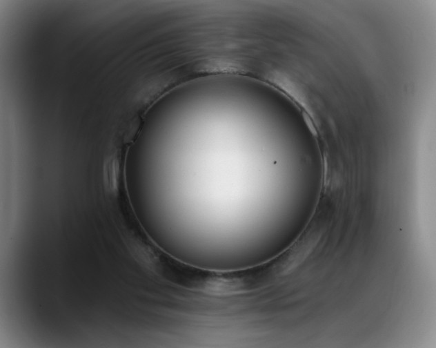 X0000089390109200706151229