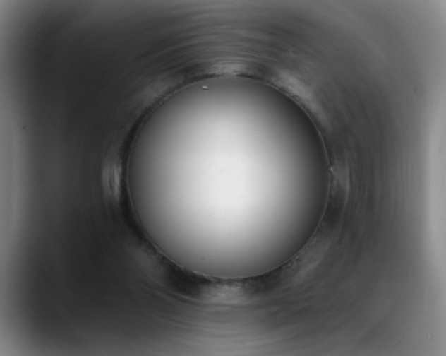 X0000089390110200706151229