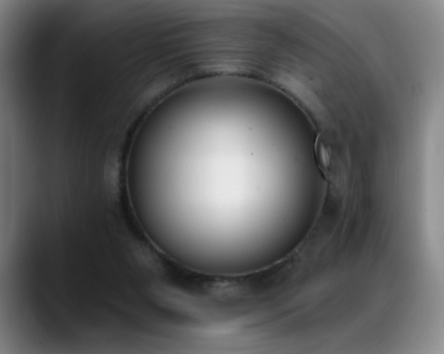 X0000089390111200706151229