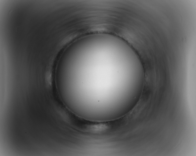 X0000089390112200706151229