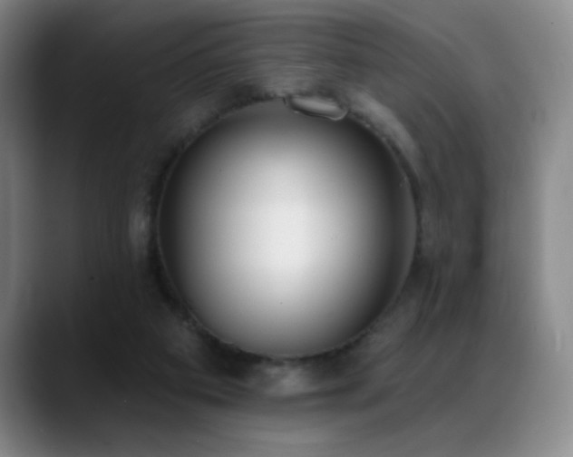 X0000089390113200706151229