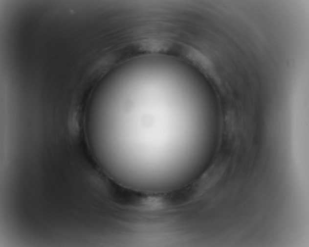 X0000089390114200706151229