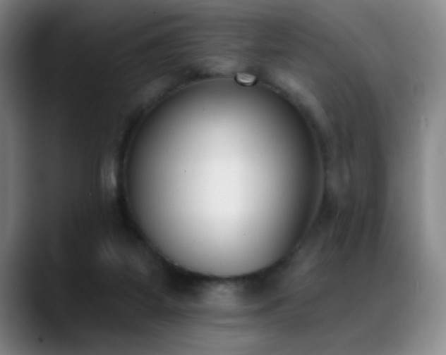 X0000089390115200706151229