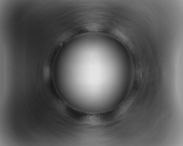 X0000089390117200706151229