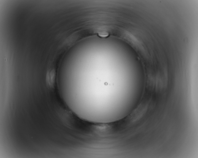 X0000089390118200706151229