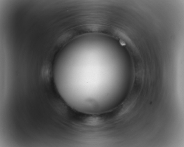X0000089390119200706151229