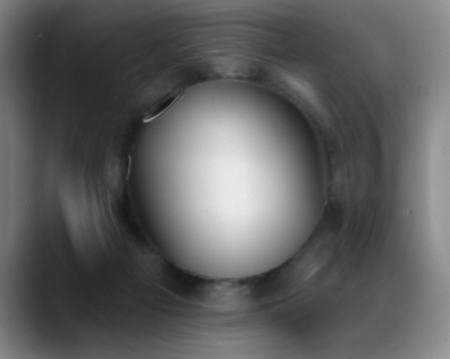 X0000089390121200706151229