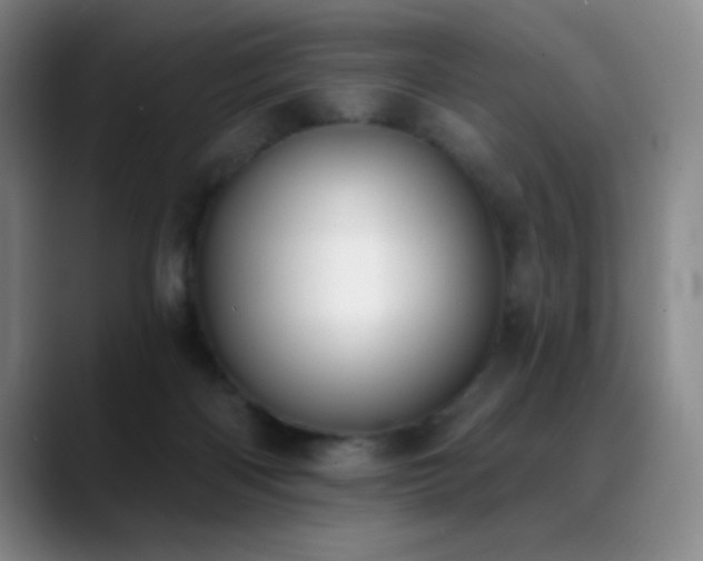 X0000089390122200706151229