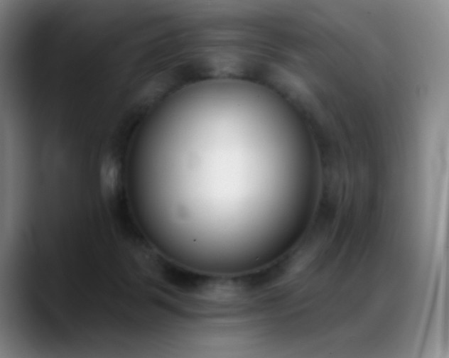 X0000089390123200706151229