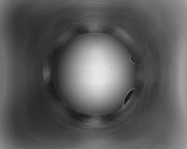 X0000089390124200706151229