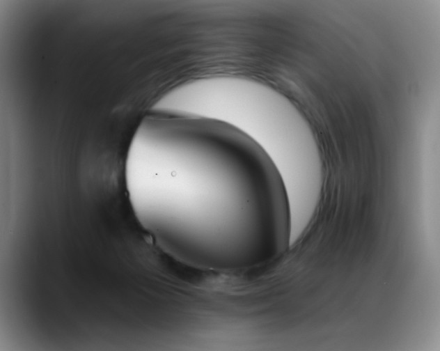X0000089390125200706151229