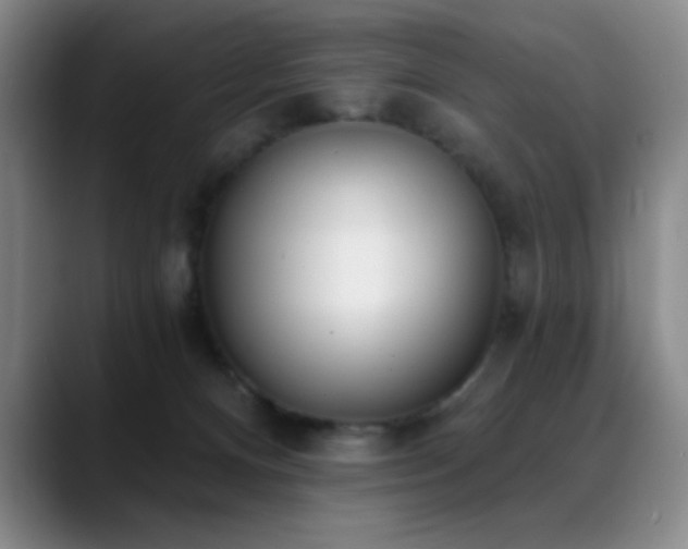 X0000089390128200706151229