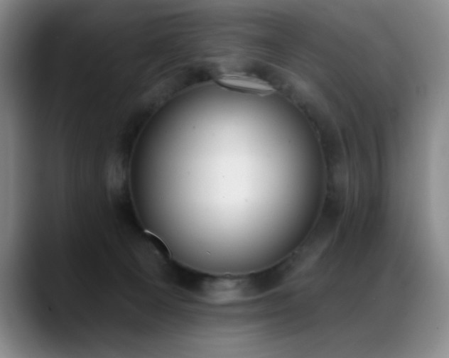 X0000089390129200706151229